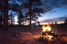Campfire at dawn